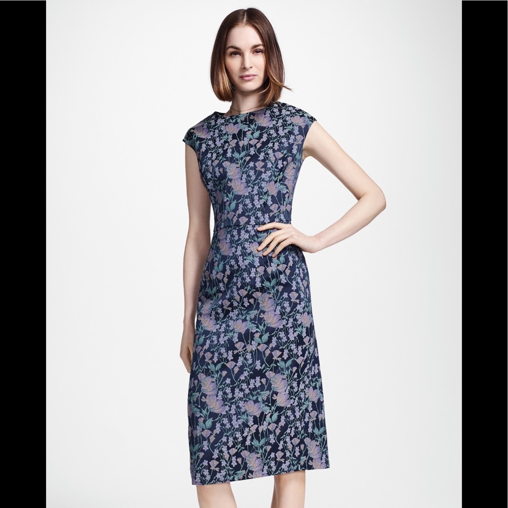 Brooks brother butterfly dress